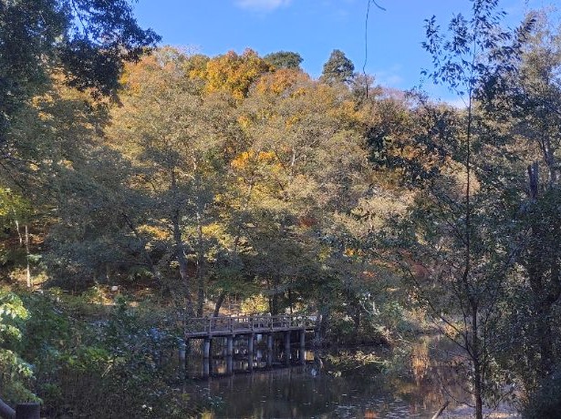 写真：せせらぎ区域からもみじ山