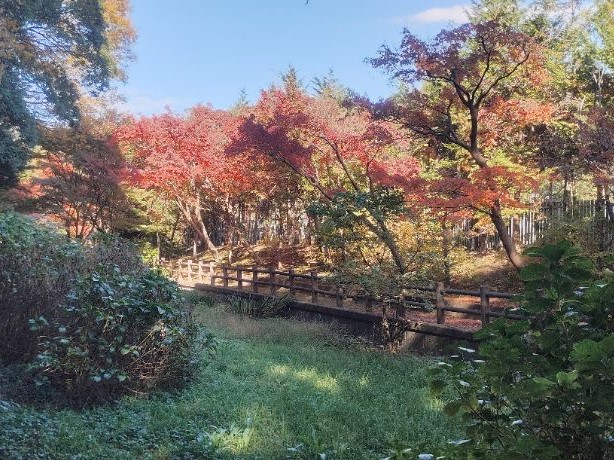 写真：せせらぎ区域
