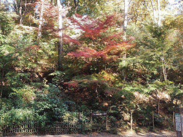 写真：もみじ山動物園側入口