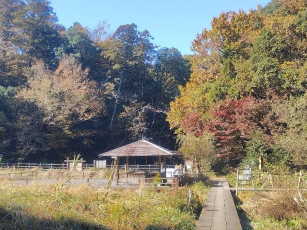 写真：もみじ山三角池側