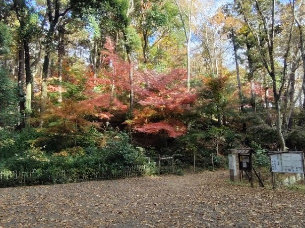 写真：もみじ山動物園側入口