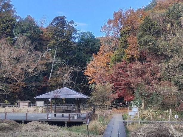 写真：もみじ山三角池側