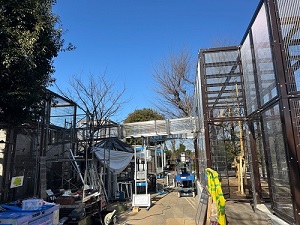 画像：おさるーむの写真