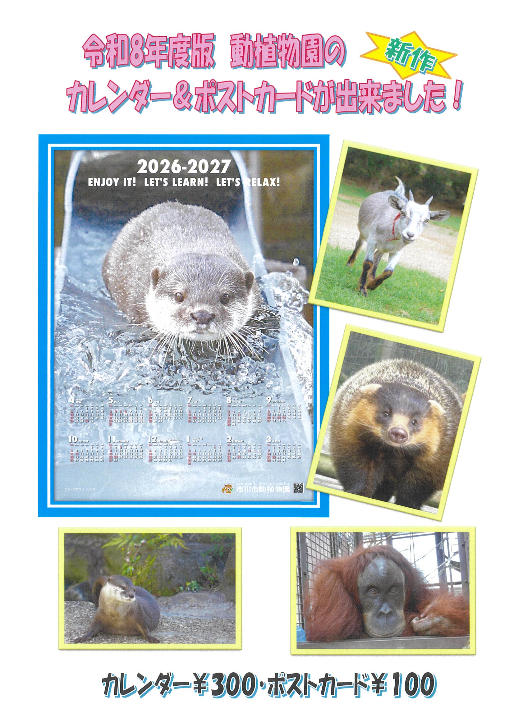 写真：新作ポスターカレンダーとポストカード一覧