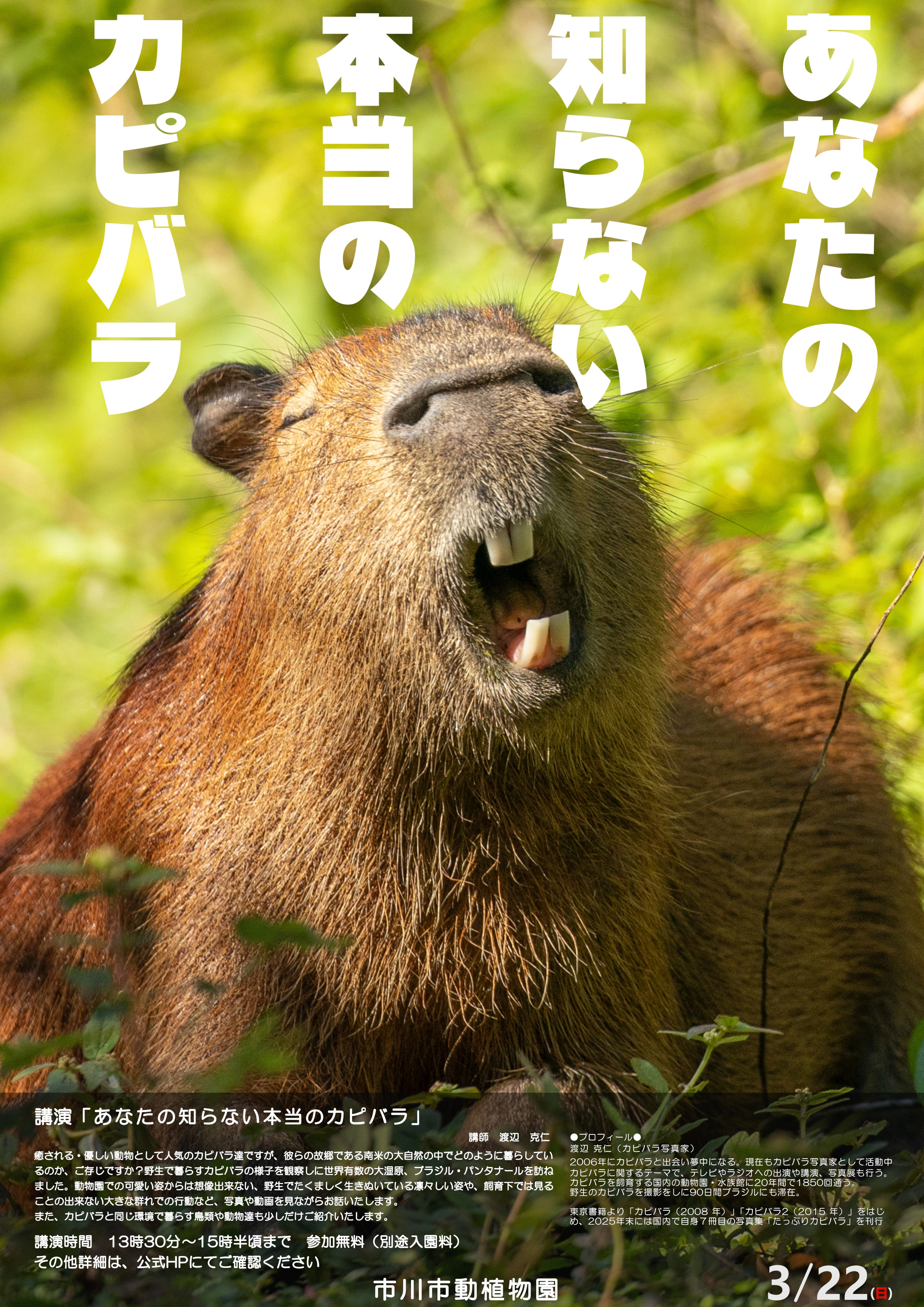 画像：カピバラ講演会のポスター