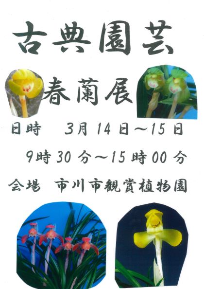 画像　春蘭展ポスター