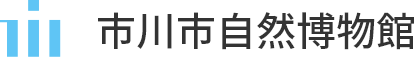 市川市自然博物館