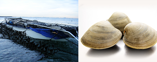 美味しい特産物の画像