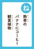 熱帯の バナナにコーヒー 鑑賞植物