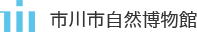 市川市自然博物館