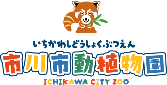 市川市動植物園サイト