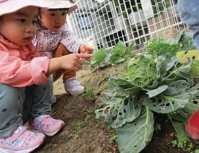 子どもの頃から食とつながりを