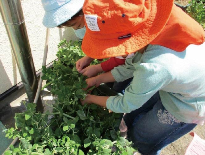 子どもの頃から食とつながりを