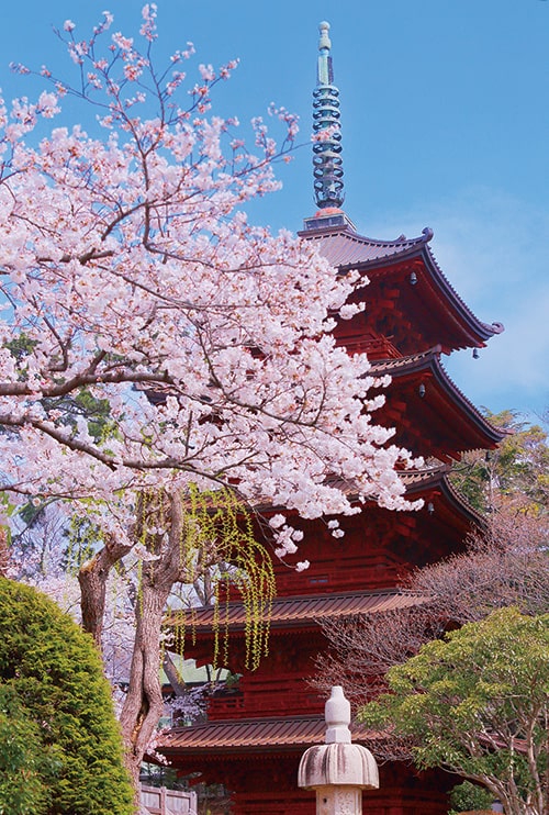 正中山法華経寺には国指定の重要文化財(建造物)が4棟あります。四足門、法華堂、祖師堂の他、あと1棟は次のうちどれか。
