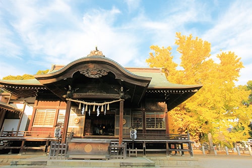 画像:葛飾八幡宮