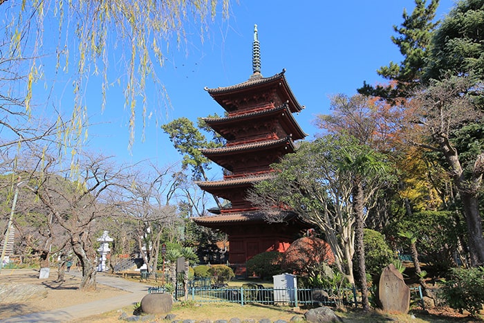 画像：法華経寺の五重塔