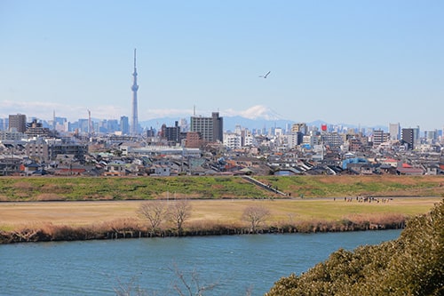 画像:里見公園からの眺め