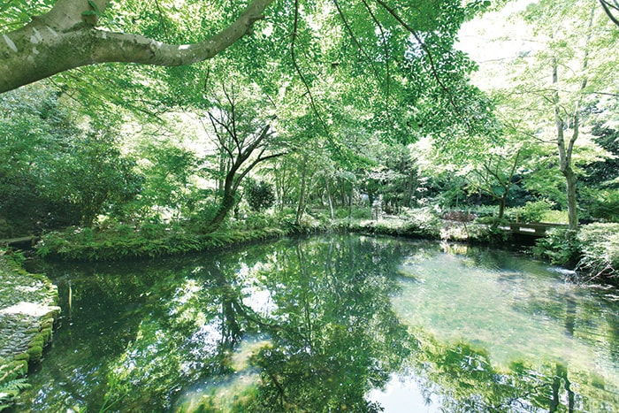 画像：大町公園 自然観察園