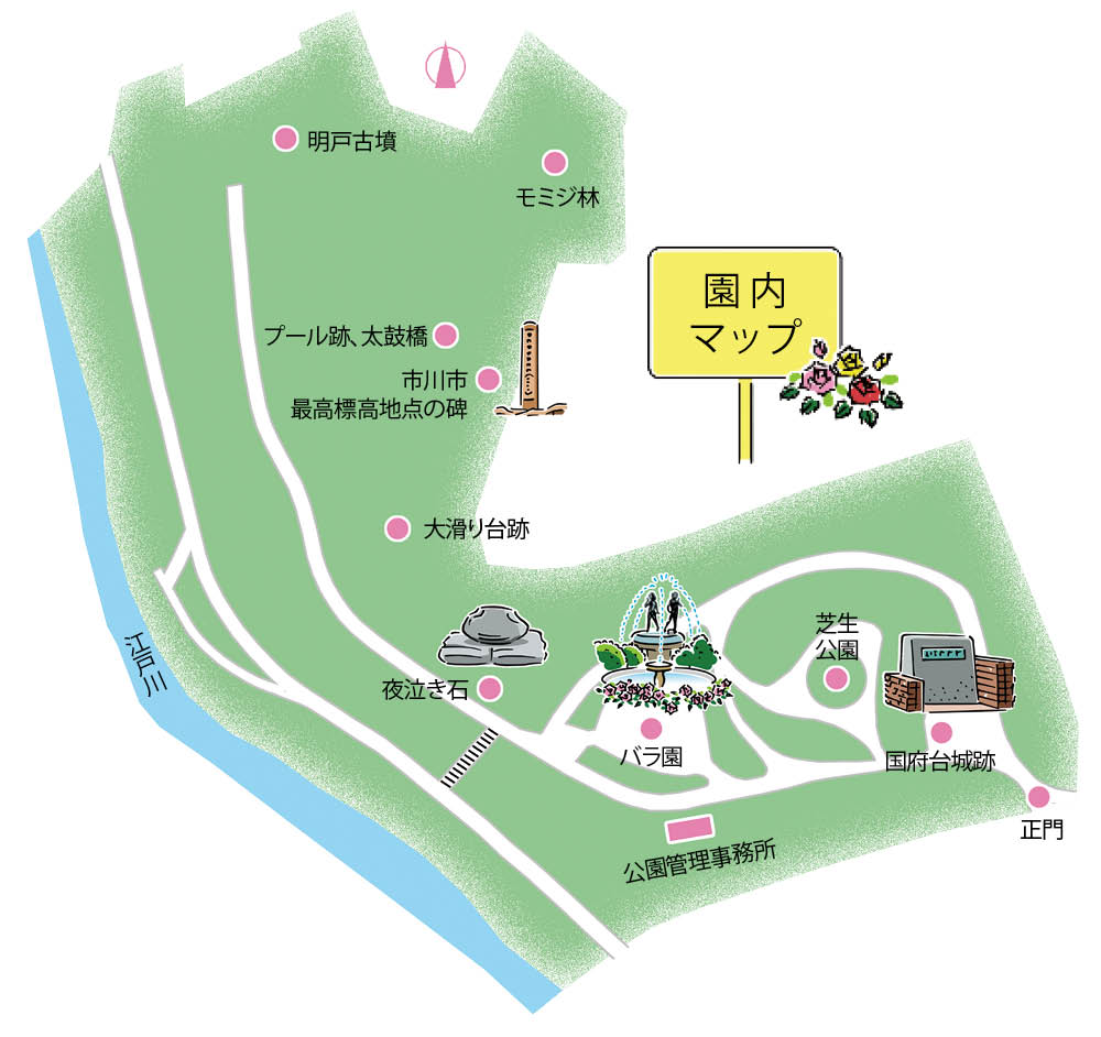 画像：MAP