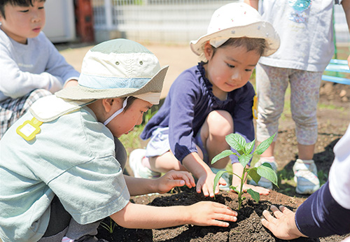 画像：苗を植える子ども