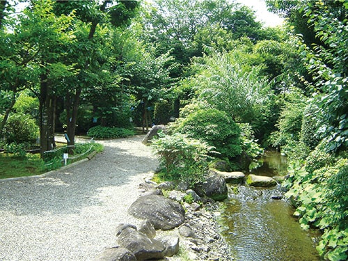 画像:万葉植物園