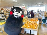 画像:©2010熊本県くまモン