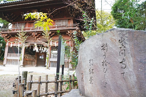 画像:小林一茶句碑