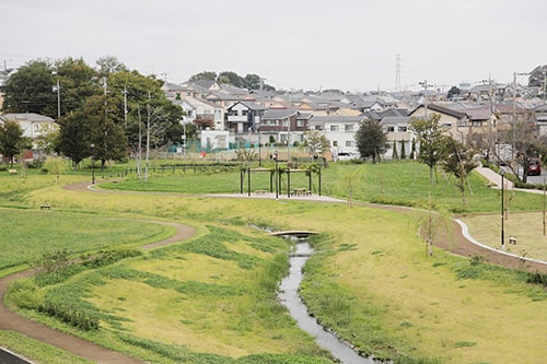 画像:開放的な芝生の公園