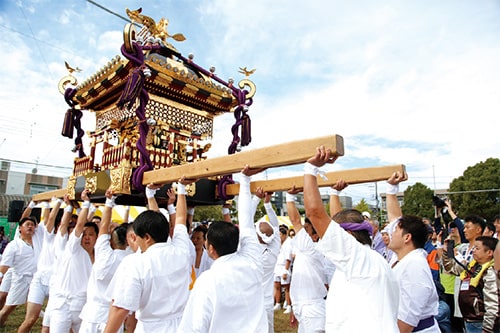 画像：行徳まつりでの神輿渡御（とぎょ）