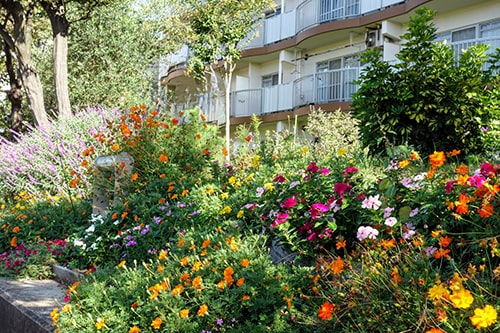 画像：ハイタウン塩浜第一住宅管理組合花クラブ