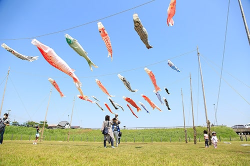 画像：国分川鯉のぼりフェスティバル