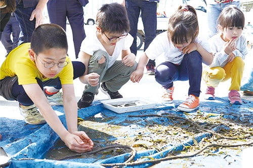 画像：生き物との触れ合い