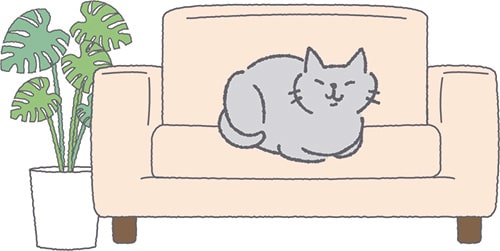 イラスト：ねこちゃん