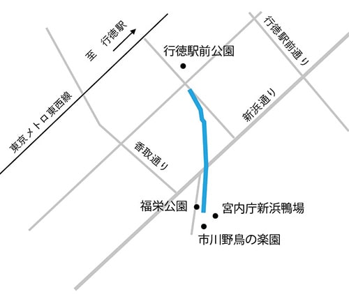 地図：かるがも通り