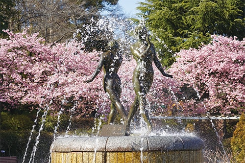 画像:里見公園