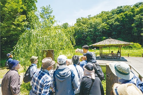 長田谷津散策会【月1回開催】