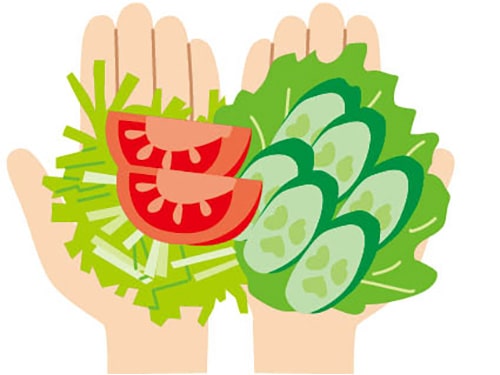 画像:350グラムの生野菜は両手で3杯分
