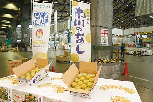 画像:「市川のなし」フェア