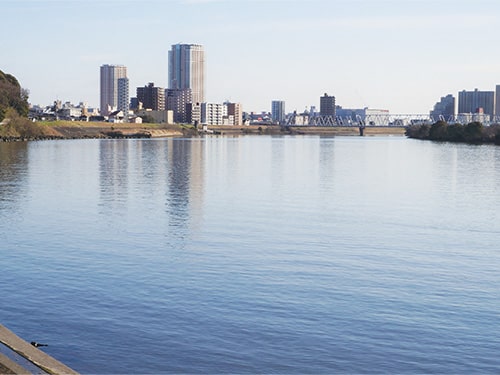 画像:里見公園下の江戸川から望む市川方面 令和6(2024)年2月