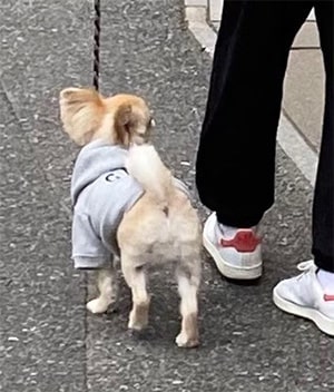 画像：近況報告