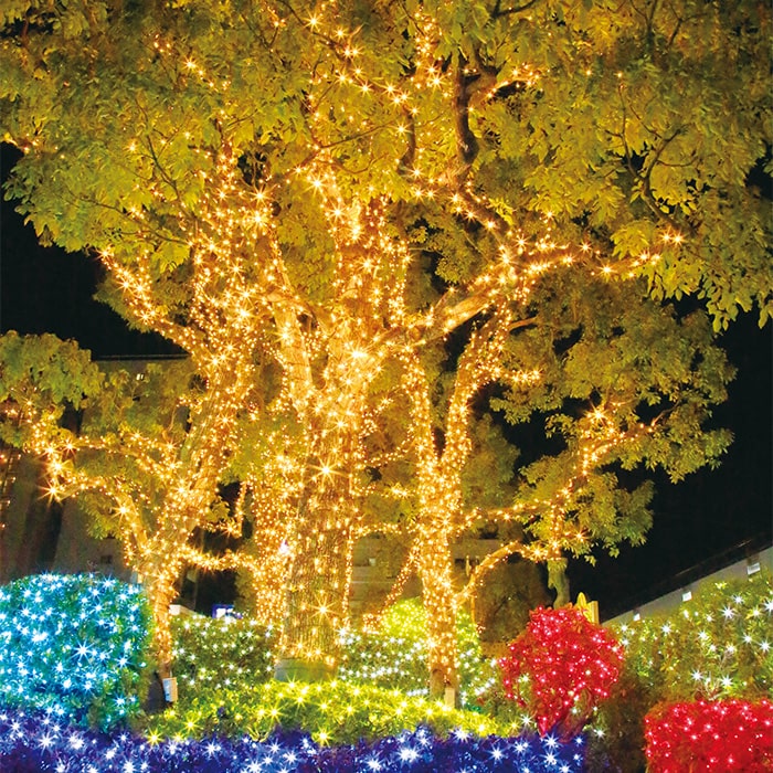 画像：夜の街に煌（きら）めく灯（あか）り