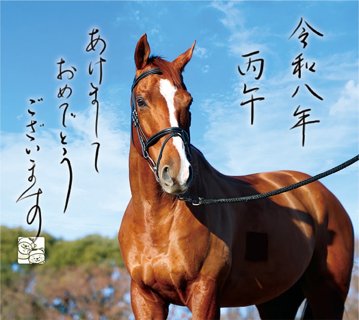 画像：未来に向かって駆け抜けよう