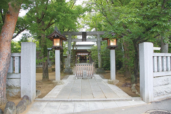 画像：白幡天神社