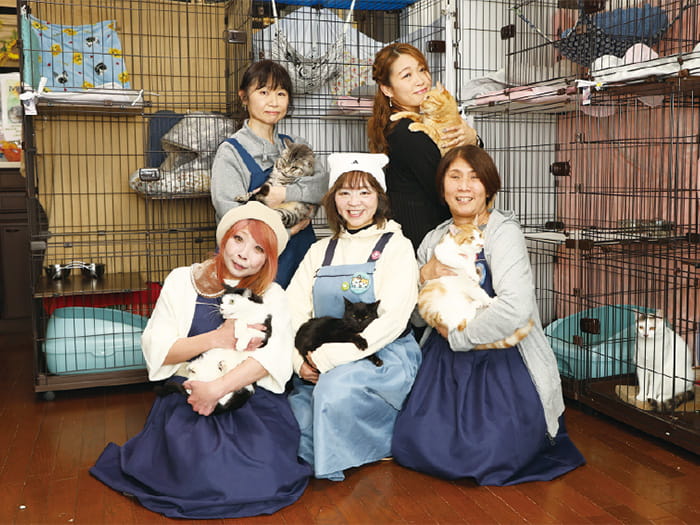 画像：里見ねこうららのみなさん