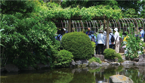 【Twitter】万葉植物園で令和記念イベント［5月18日］