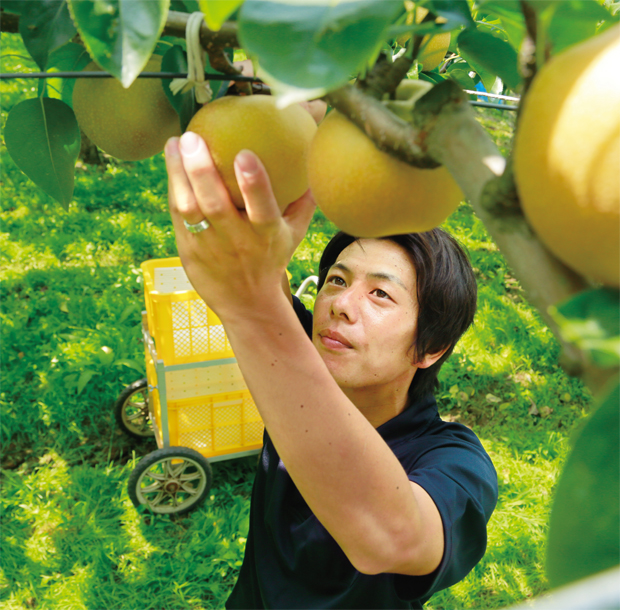 市川のおいしい夏が始まる