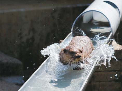 【Facebook】動植物園　開園記念イベント［8月18日］