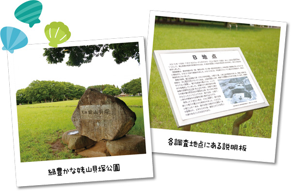 緑豊かな姥山貝塚公園／各調査地点にある説明板