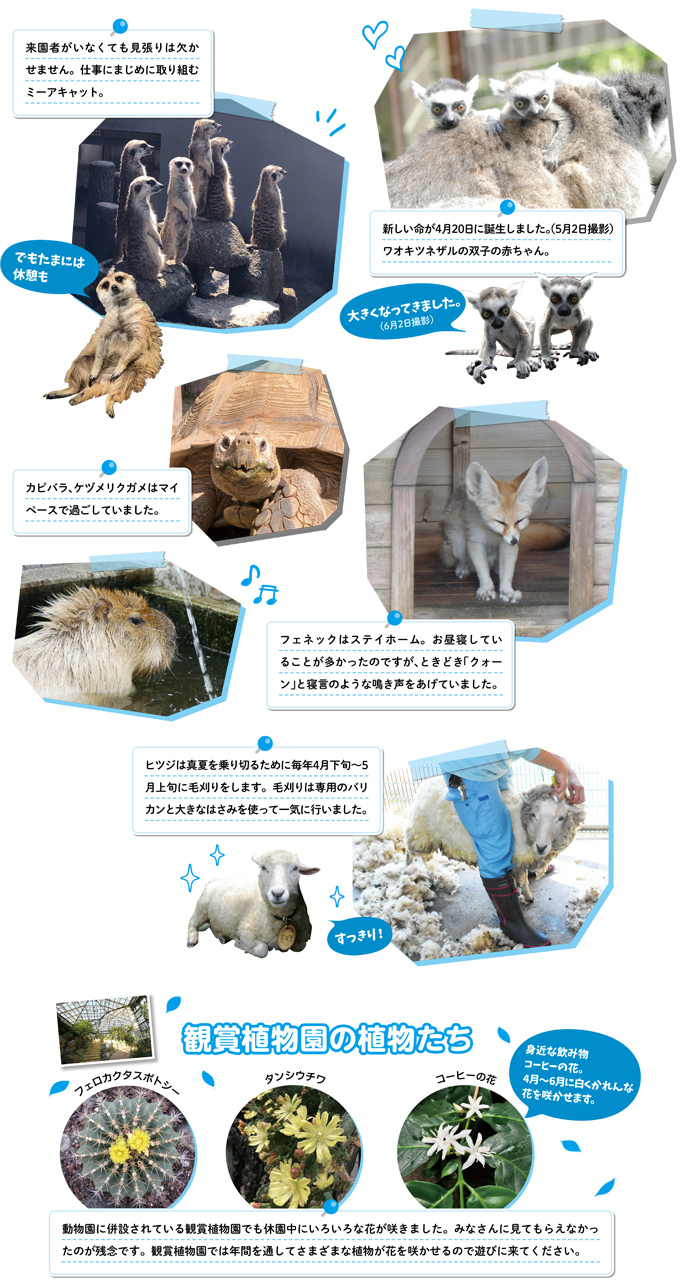 動物たちの元気な姿をお届け