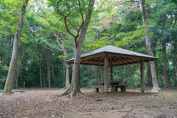 市民の森エリアで緑に囲まれた静かなひと時を